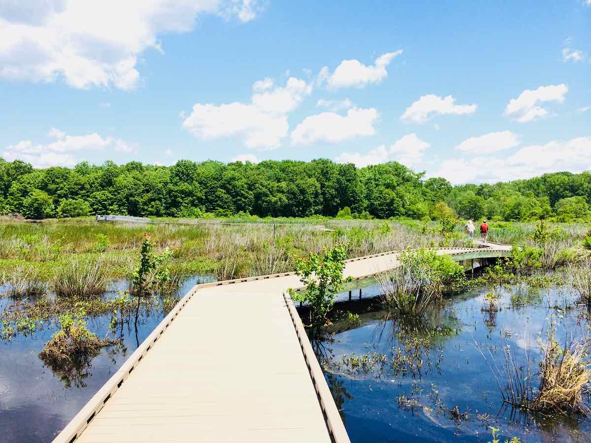 The Accessible Boardwalk Trail at Huntley Meadows Park, a Spring Bucket List Destination in Northern Virginia