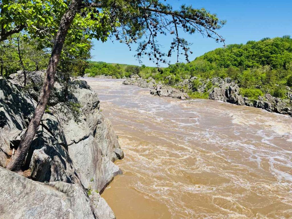 Dramatically High Levels Fill Mather Gorge After Spring Rains at Great Falls Park