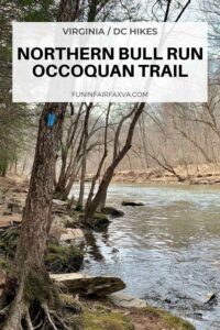 Northern Bull Run Occoquan Trail hike by FuninFairfaxVA