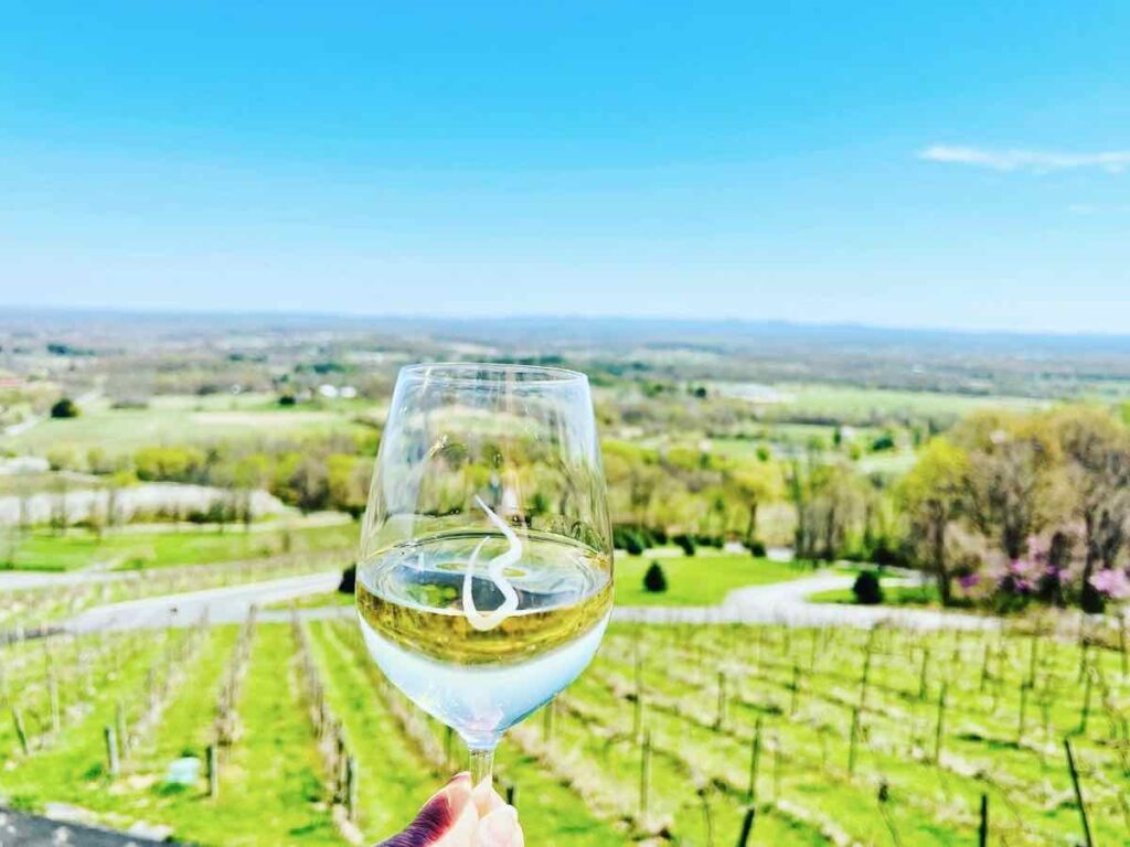 View from Bluemont Vineyards, one of our picks for Northern Virginia Wine Country vacation rentals