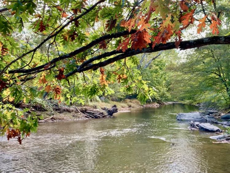 Enjoy pretty fall views and interesting Potomac River history at Seneca Park in Northern Virginia.