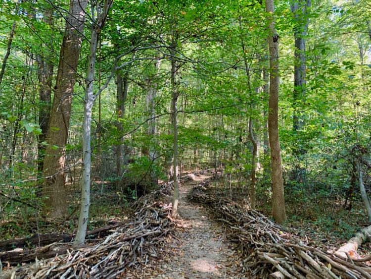 The trailhead to Seneca Park, lined with woven branches, leads to excellent woodland hiking in Northern Virginia