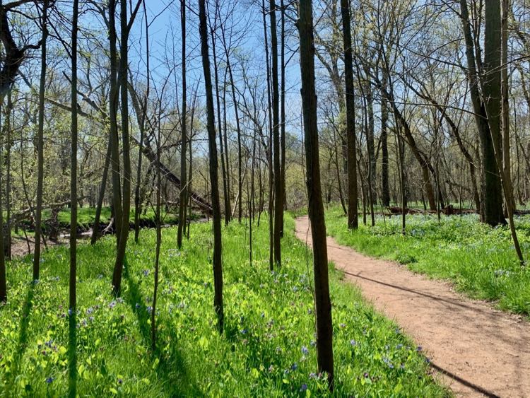 Spring hike Northern BROT