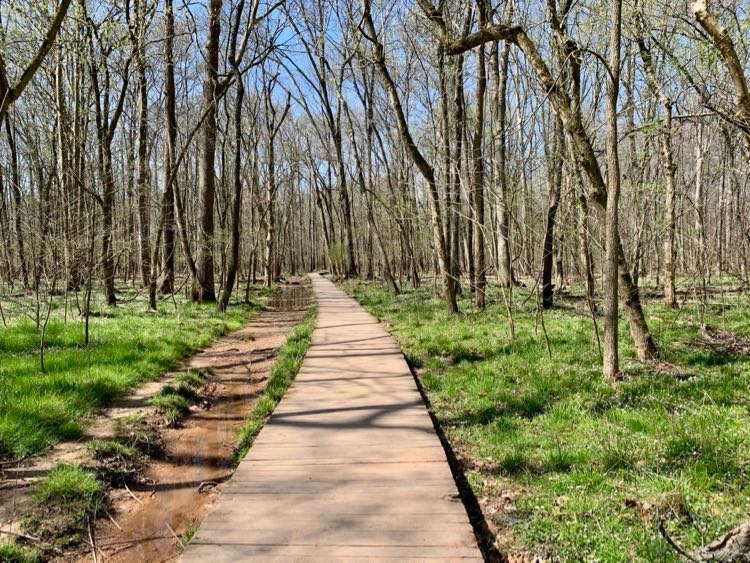 BROT boardwalk in spring