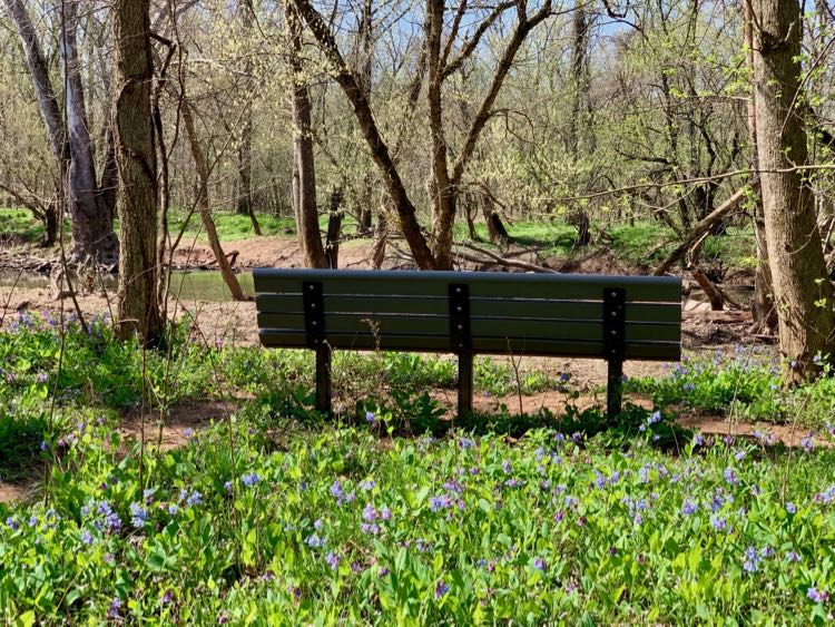 Bluebell Trail bench near Cub Run