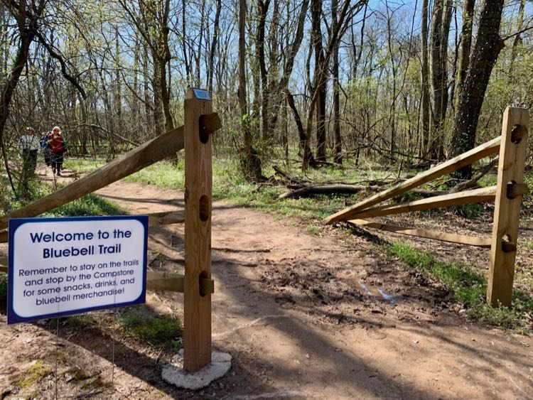 Bull Run Bluebell Trailhead