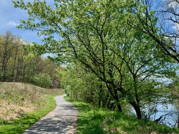 Path next to the Shenandoah River in Bluemont VA