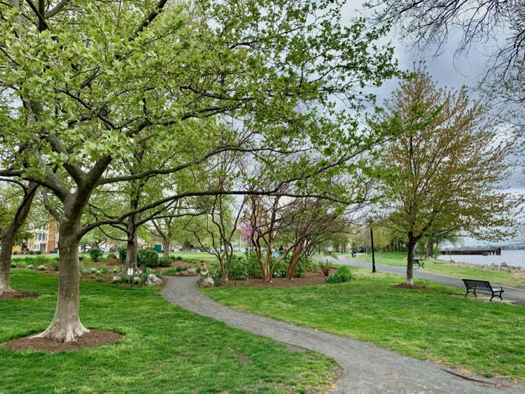 Pretty garden in Founders Park on the Alexandria waterfront