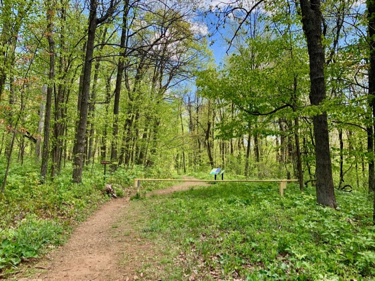 Trillium hike trailhead