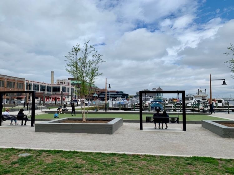 Waterfront Park swings in Alexandria VA