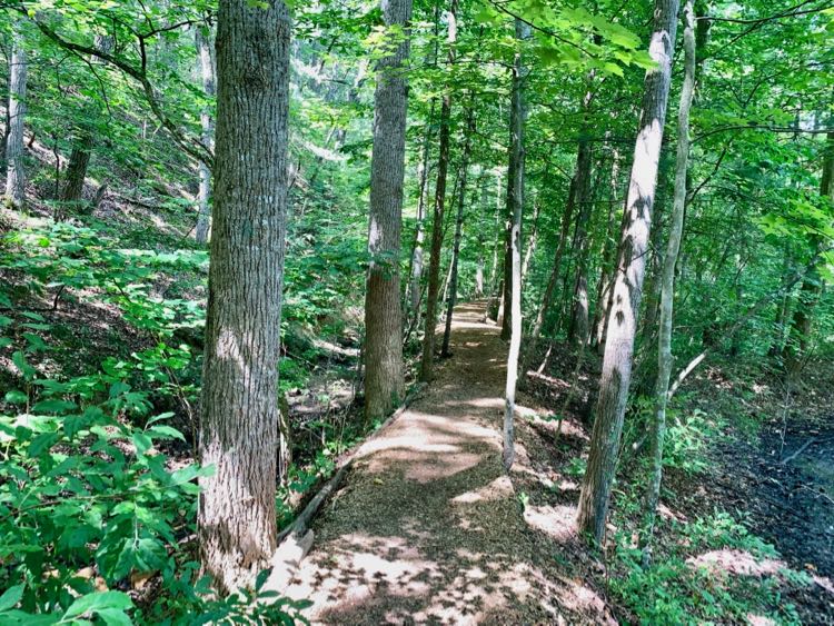 Arboretum Trail at Massanutten Resort