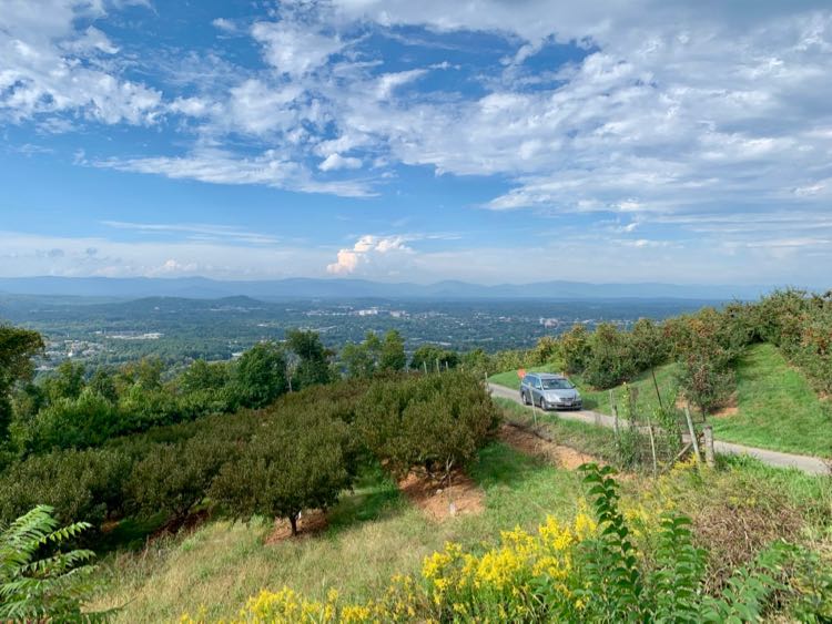 Take a free scenic drive through the Carter Mountain apple orchard.