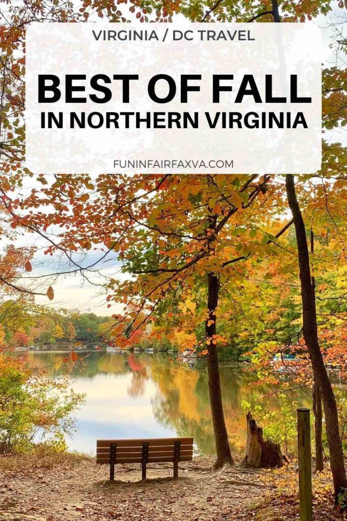 Best of fall in Northern Virginia including fall festivals, scenic drives, outdoor activities, and Autumn getaways near Washington DC.