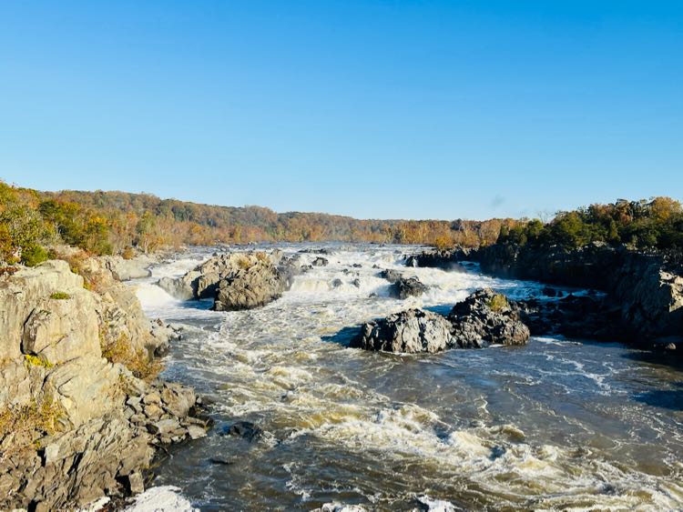 Fall foliage surrounds the river and waterfalls at Great Falls Park VA