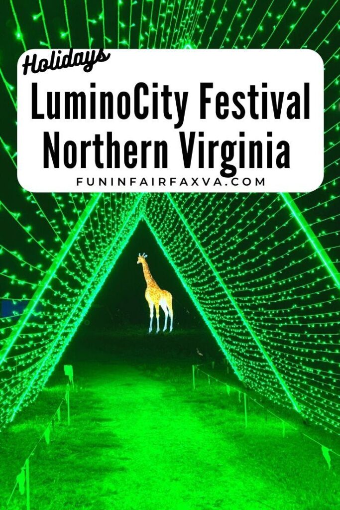 The 2021 LuminoCity Festival in Northern Virginia is a walk-through experience of colorful, family-friendly holiday scenes and beautifully hand-crafted light sculptures.