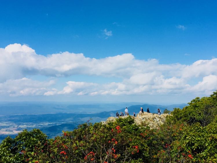 People enjoying an early fall foliage view from Stony Man Summit in Shenandoah National Park