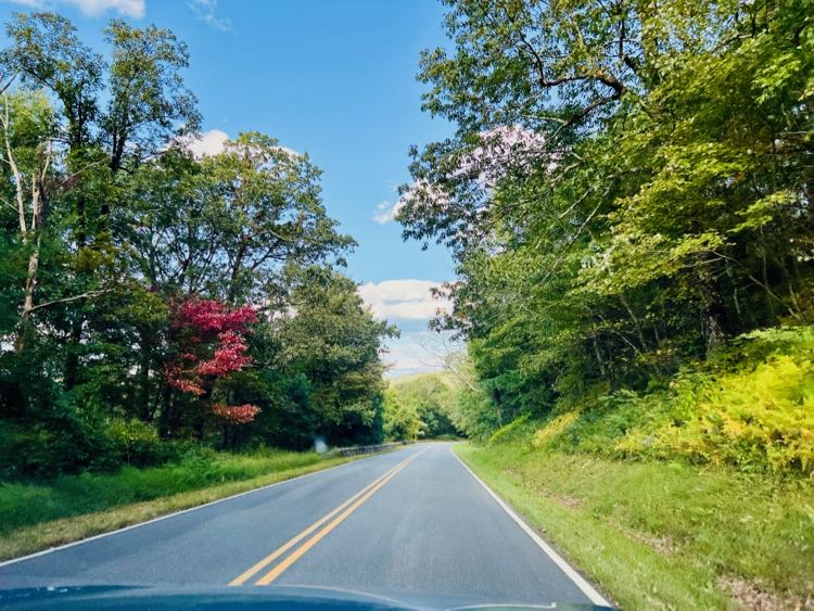 Skyline Drive with pops of fall foliage in Shenandoah's South District