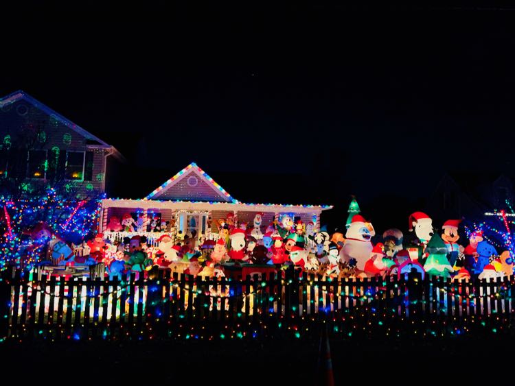 Holiday lights at 6412 Joyce Rd Alexandria