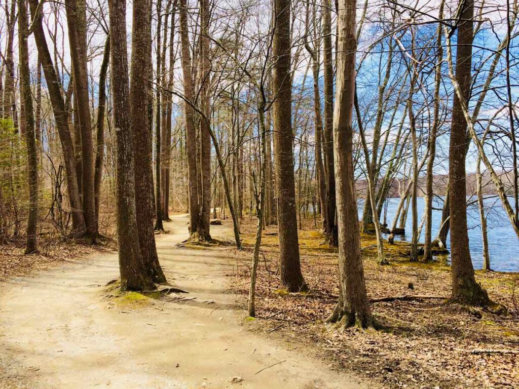 Burke Lake Park Trail in early spring