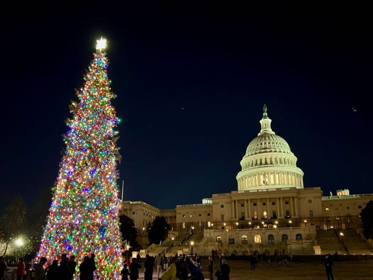 Capitol Christmas Tree DC holiday lights