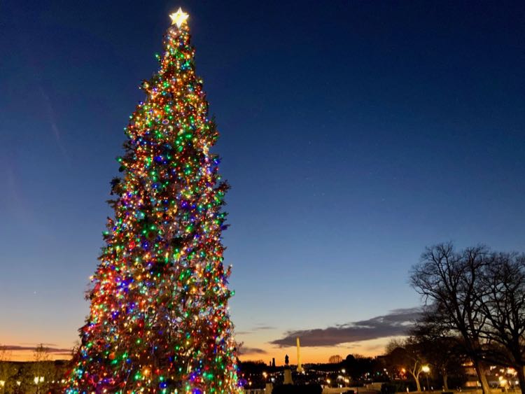 Capitol Christmas Tree sunset view with the Washington Monument in the distance.