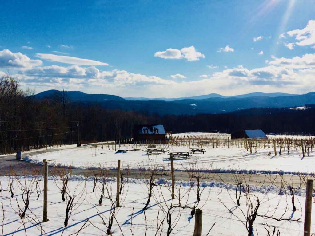 Fox Meadow Winery Winter View