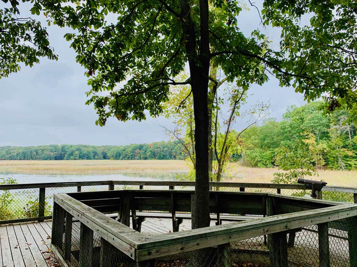 View from the Great Marsh Trail Platform in Mason Neck VA