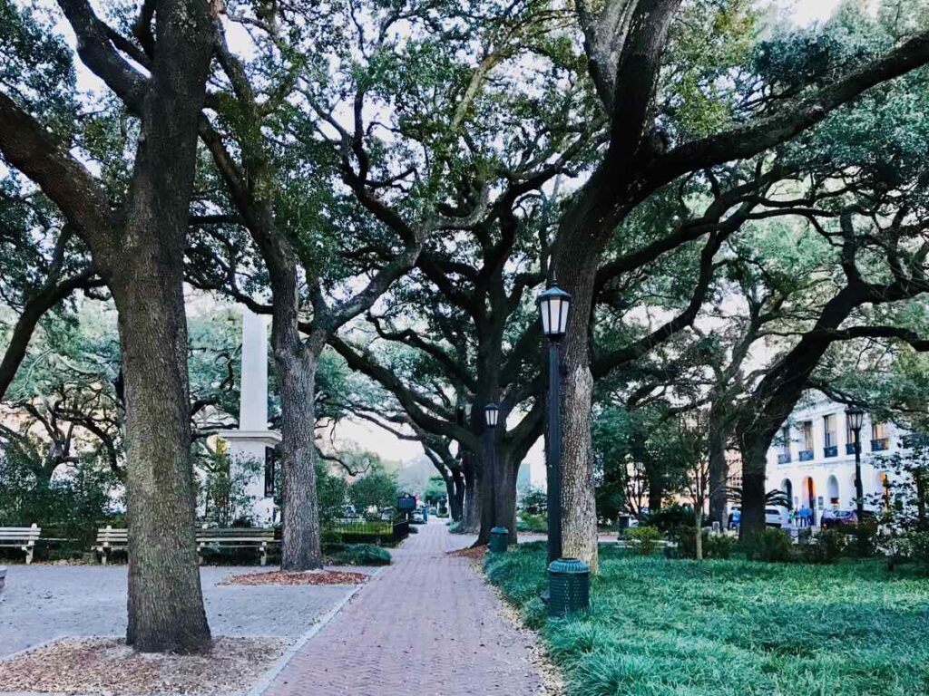 Leafy Square in Savannah Georgia