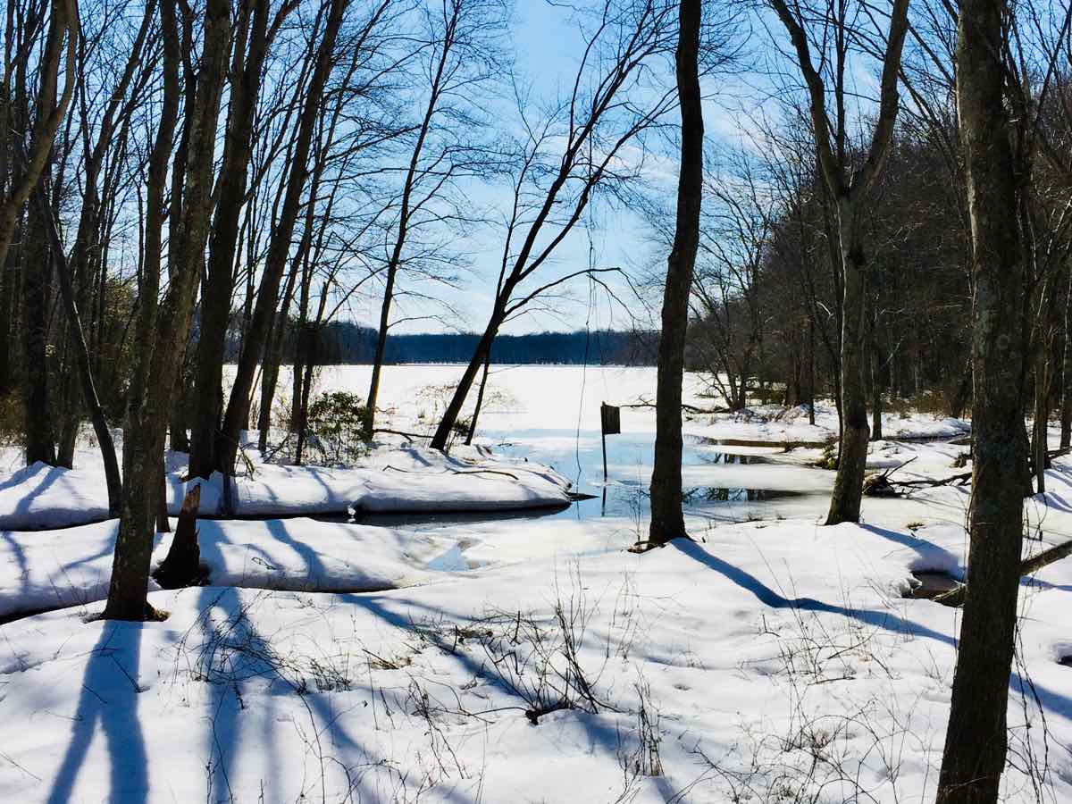 Snowy Views on a Winter Walk at Burke Lake Park in Northern Virginia