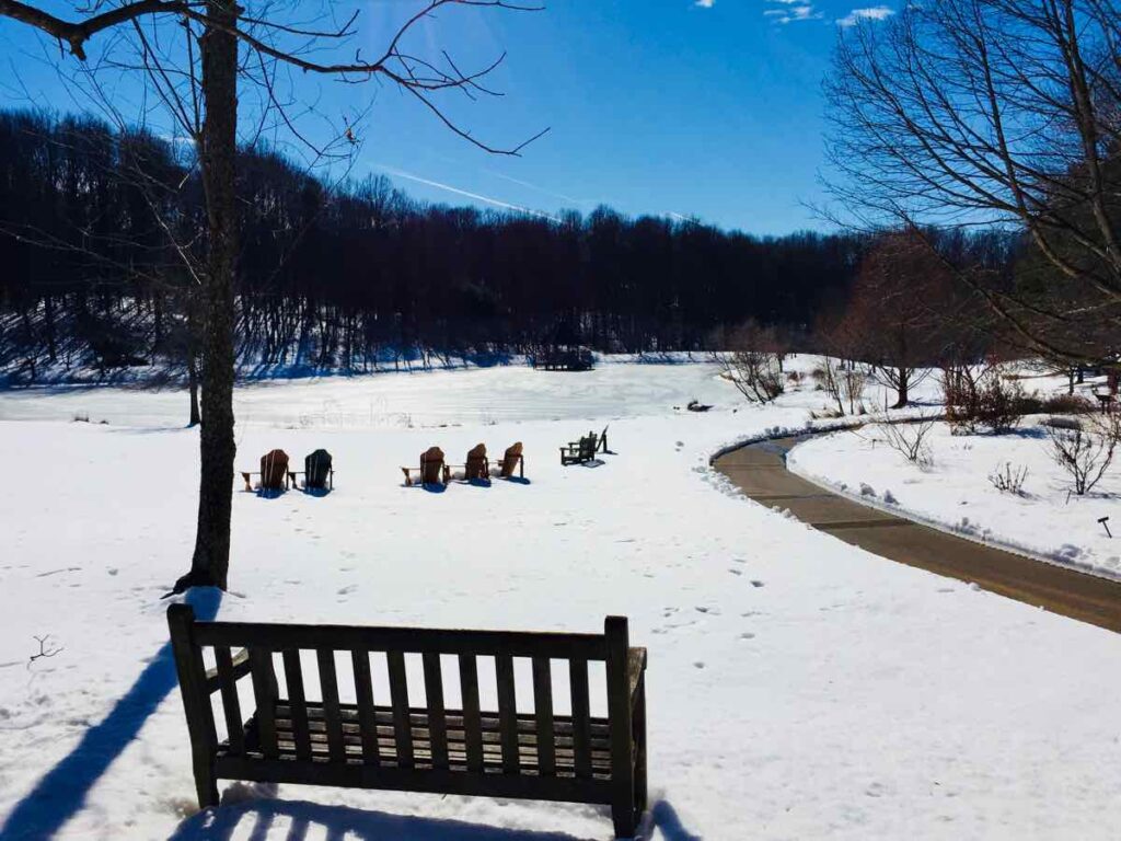 Snowy Scenes on a Winter Walk at Meadowlark Botanical Gardens