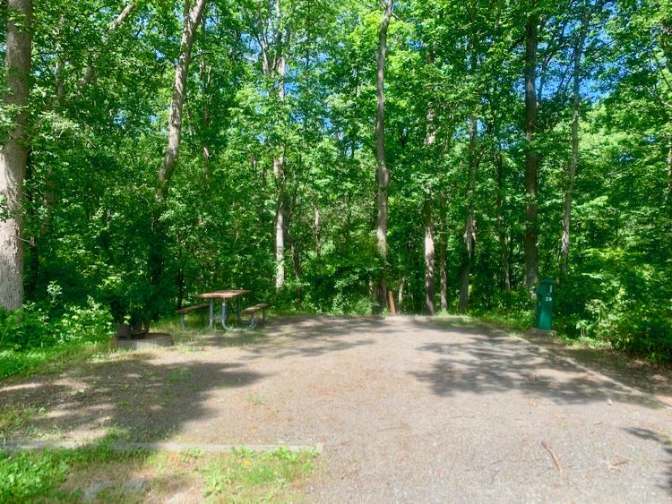 A wooded site at Lake Fairfax Park, one of the best Northern Virginia campgrounds for camping near DC.