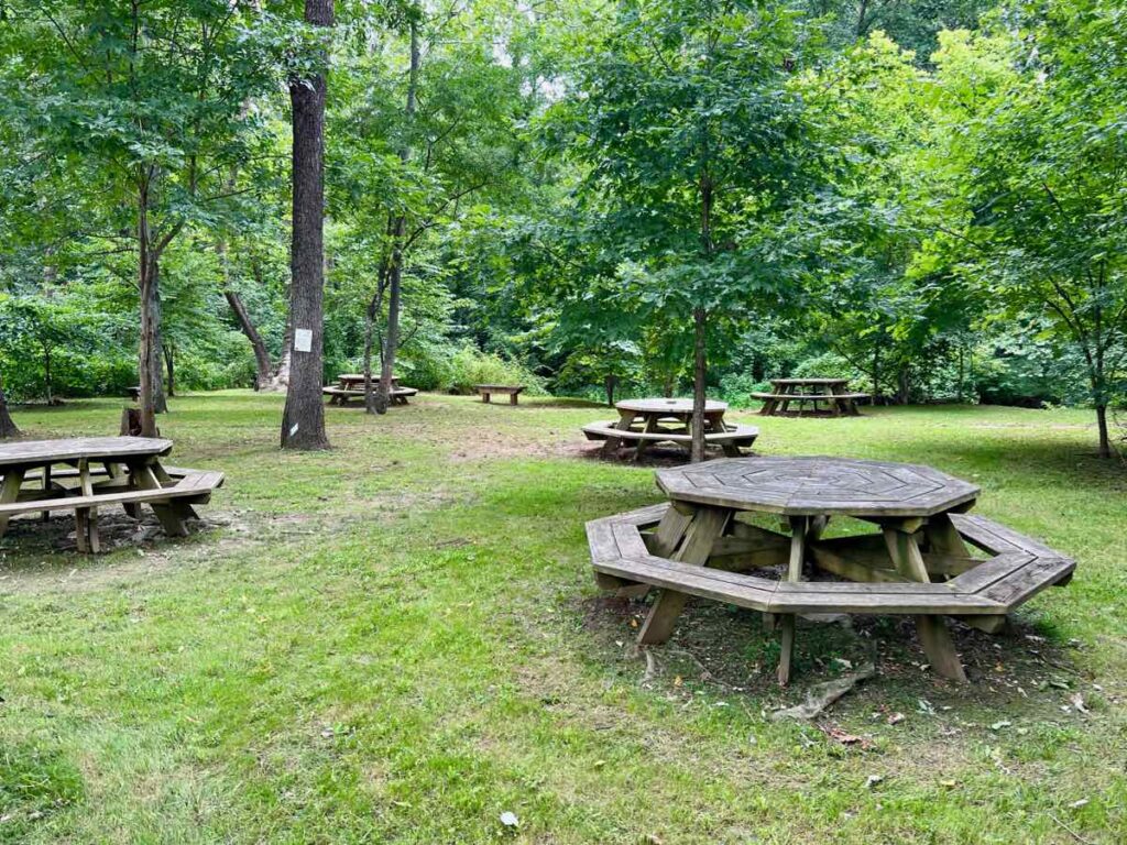 Picnic Tables at the Chapman de Mary Picnic Area in Purcellville Virginia