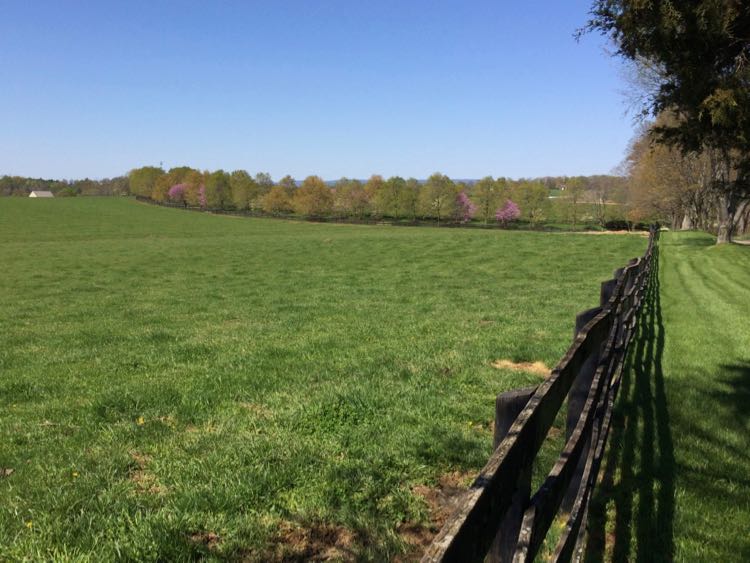 Farm fields line unpaved Clover Hill Road