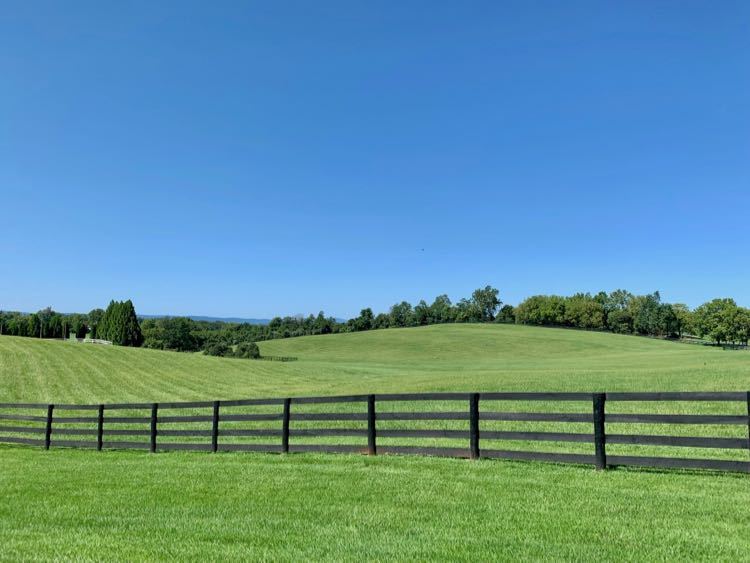 Farm view Old Waterford Rd