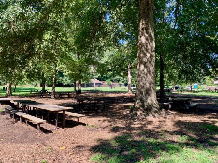 Great Falls Park picnic area