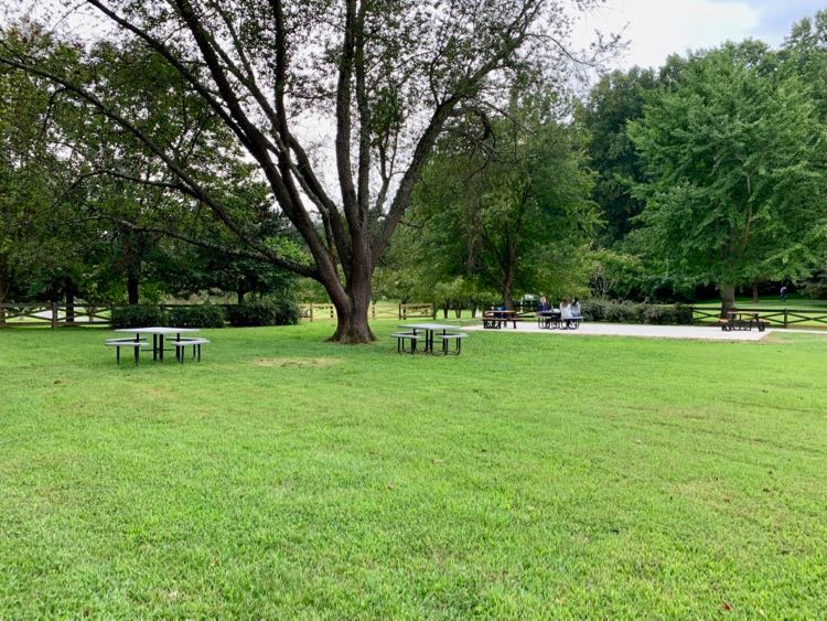 Meadowlark Gardens picnic area