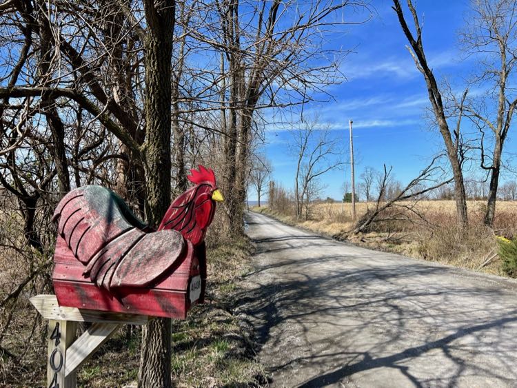 Red rooster mailbox on Quarter Branch Road, one of the pretty Loudoun County unpaved roads near Leesburg Virginia