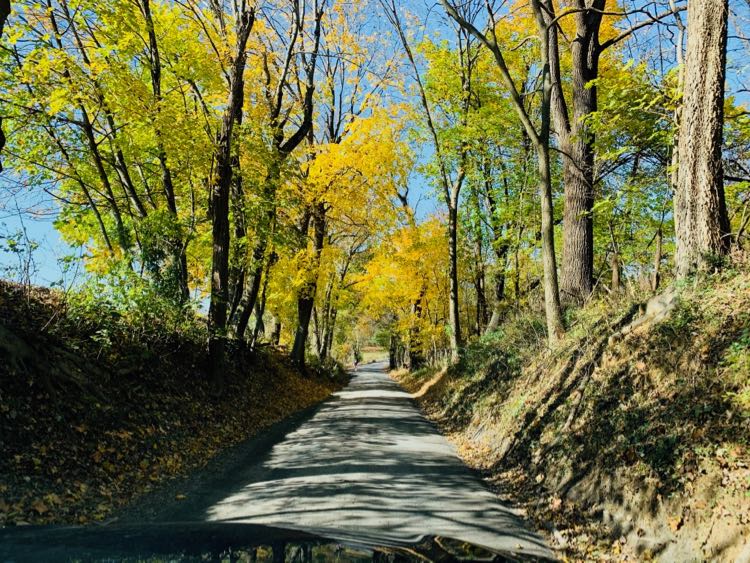 Sunken road in Waterford Virginia