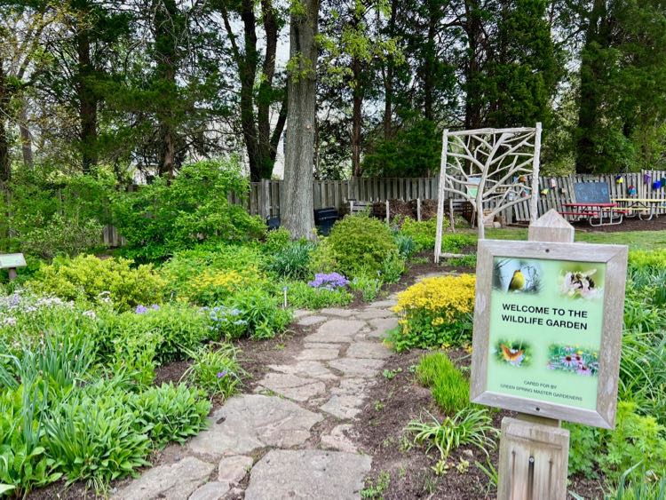 Wildlife Garden at Green Spring