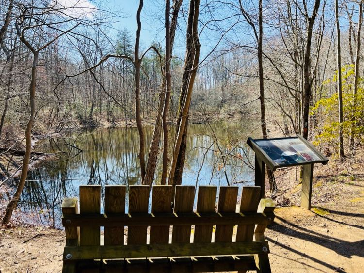 Wolf Trap Pond bench