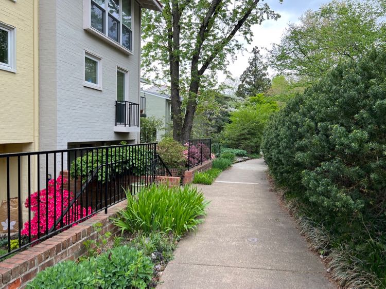 Bright gardens and bushes line the path behind the Waterview Cluster homes