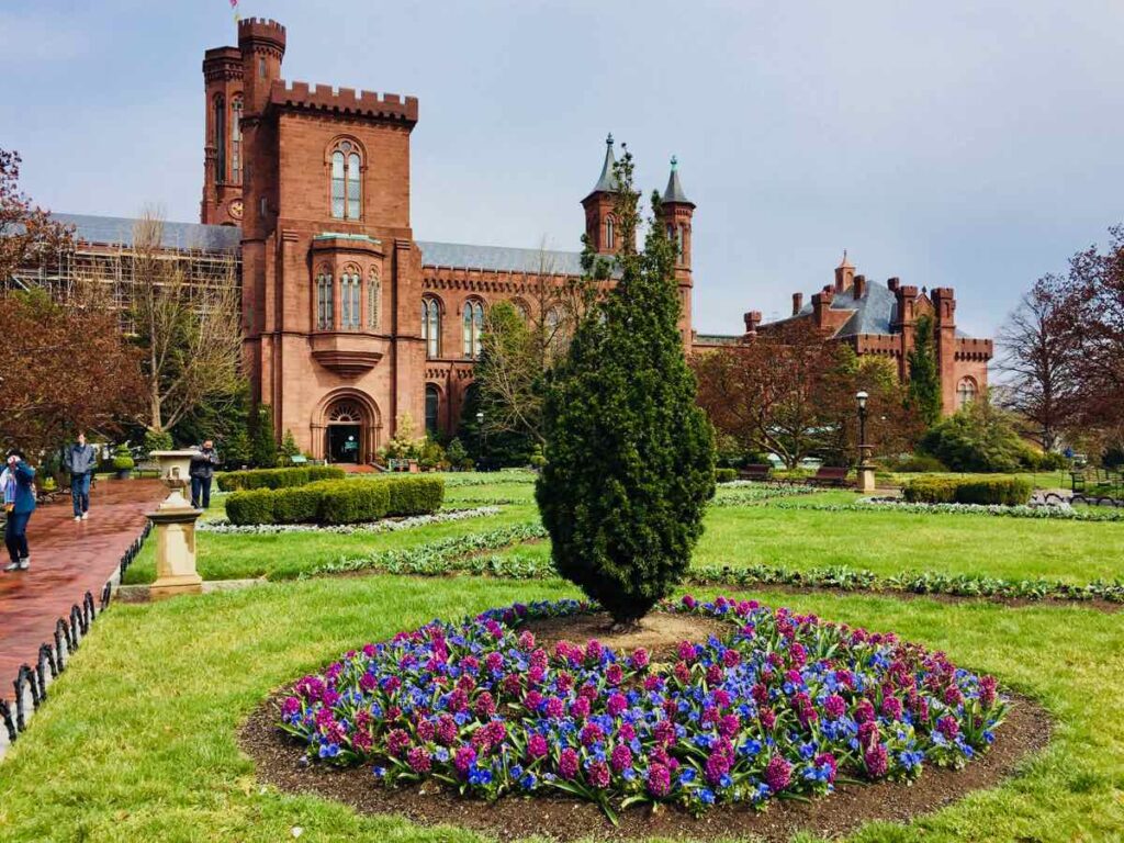 Flowers in bloom at the Enid A. Haupt Garden Smithsonian Castle DC