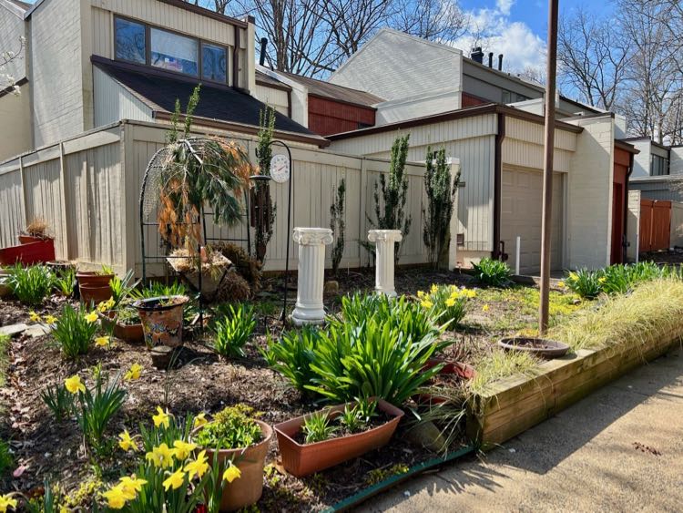 Garden on Waters Edge Lane Reston