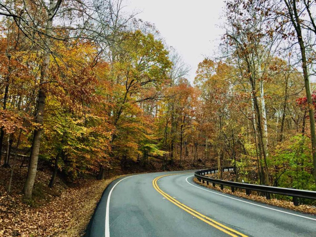 Fall Foliage on Georgetown Pike, one of the Best Scenic Drives in Northern Virginia Near Washington DC