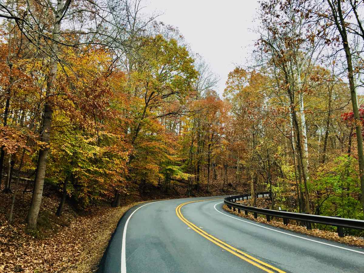 Fall foliage on a Georgetown Pike Scenic Drive in Northern Virginia Near Washington DC