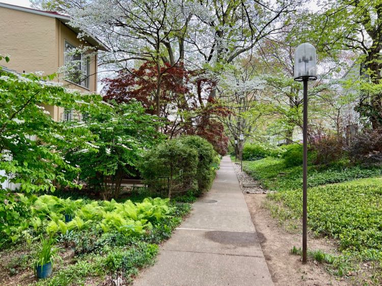 Lake Anne Trail path lined with gardens in Reston VA