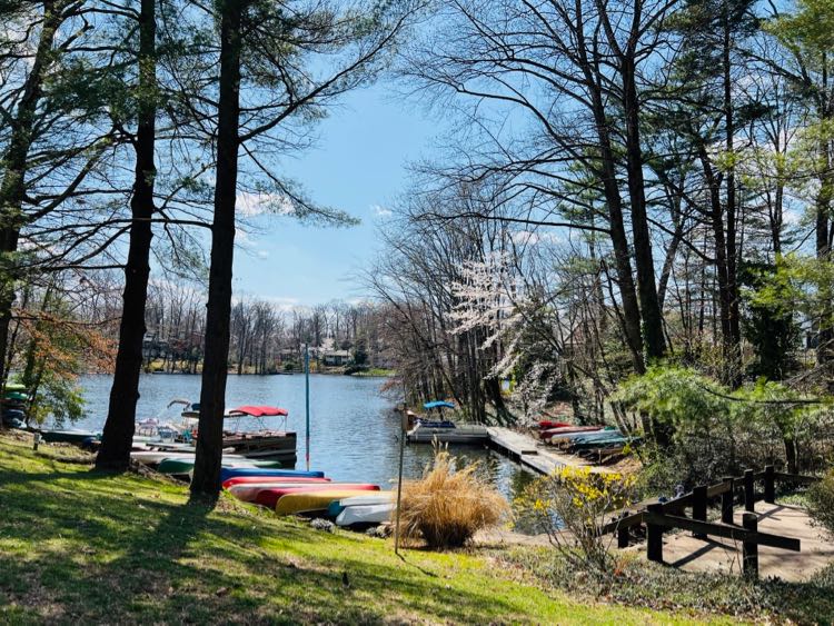 Lake Anne inlet view