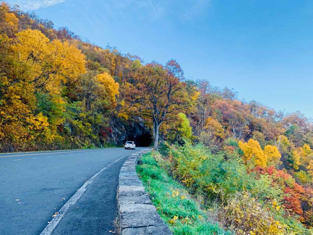 5 Ways to Enjoy Fall Foliage in Shenandoah National Park