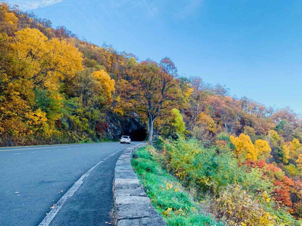 Fall Foliage on Skyline Drive in Shenandoah National Park, One of the Best Scenic Drives in Northern Virginia