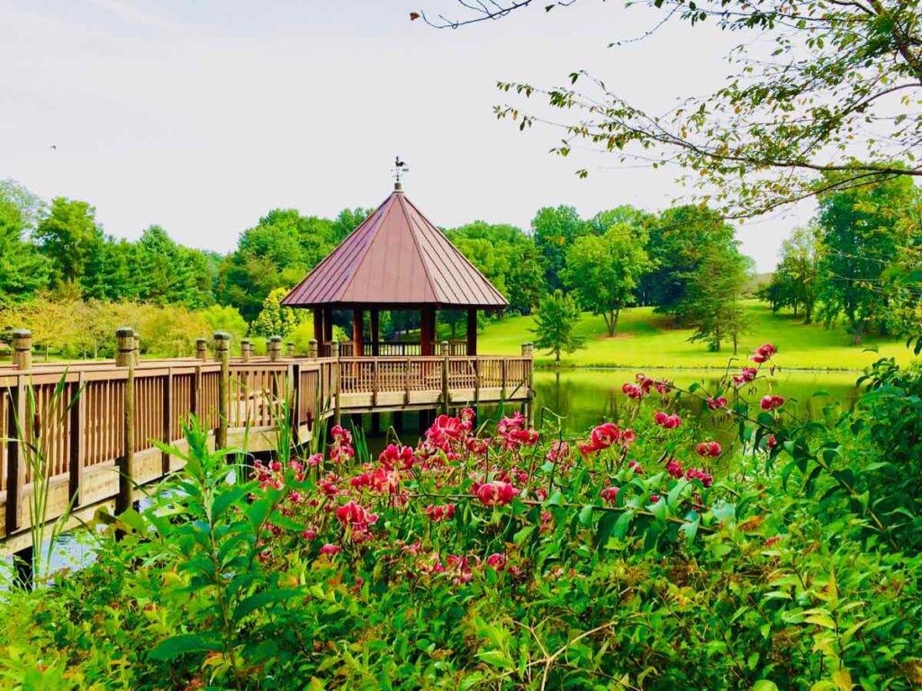 Flowers, gazebo, and pond at Meadowlark Botanical Gardens in Vienna Virginia